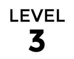 Level 3 Level 3